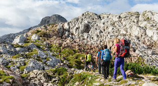 Wandern (c) Sportalpen
