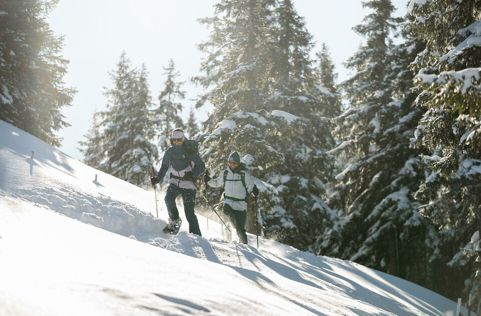 Schneeschuhwandern