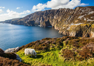 RoNeu_Irland_001